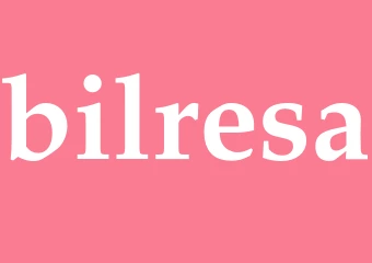 Synonym bilresa