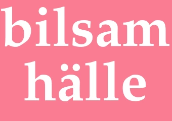 Synonym bilsamhälle