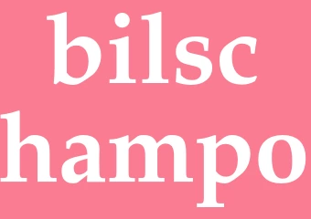 Synonym bilschampo