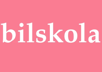 Synonym bilskola
