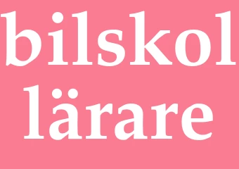Synonym bilskollärare