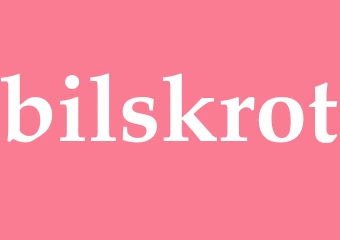 Synonym bilskrot