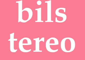 Synonym bilstereo