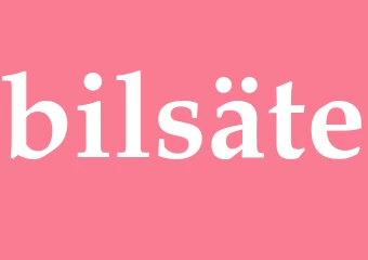 Synonym bilsäte