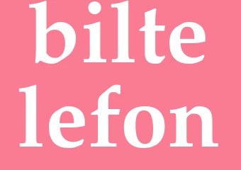 Synonym biltelefon