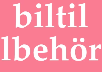 Synonym biltillbehör