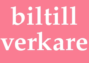 Synonym biltillverkare