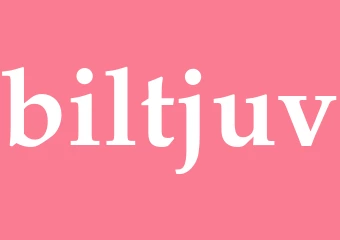 Synonym biltjuv