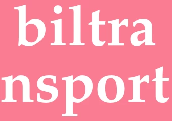 Synonym biltransport