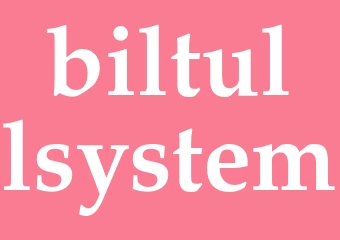 Synonym biltullsystem
