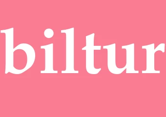 Synonym biltur