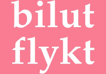 Synonym bilutflykt