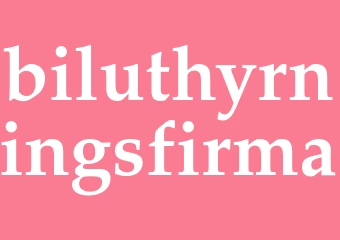 Synonym biluthyrningsfirma