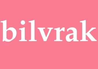 Synonym bilvrak