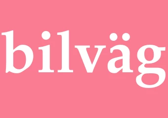 Synonym bilväg