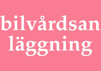 Synonym bilvårdsanläggning