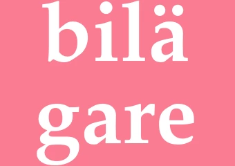 Synonym bilägare