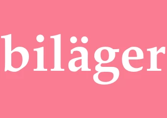 Synonym biläger