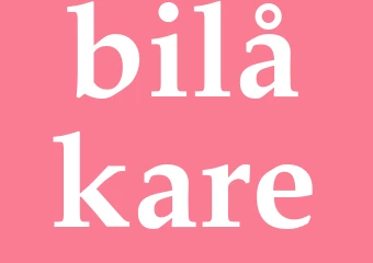 Synonym bilåkare
