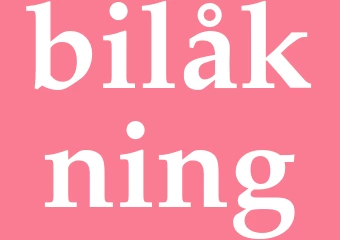 Synonym bilåkning