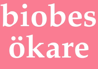 Synonym biobesökare