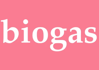 Synonym biogas