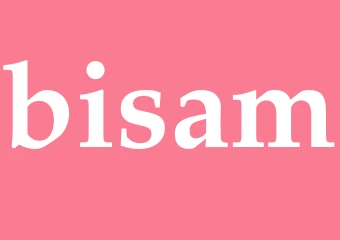 Synonym bisam