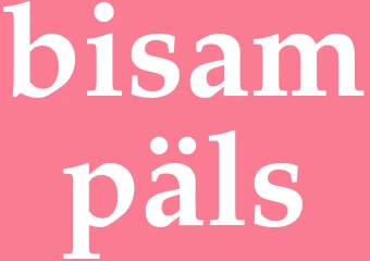 Synonym bisampäls