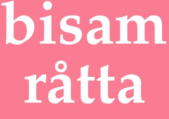 Synonym bisamråtta