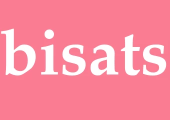 Synonym bisats