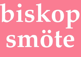 Synonym biskopsmöte