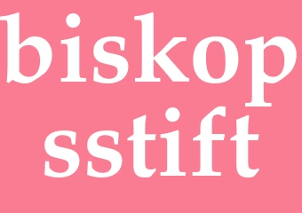 Synonym biskopsstift