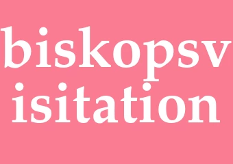 Synonym biskopsvisitation