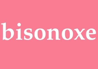 Synonym bisonoxe