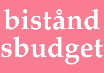 Synonym biståndsbudget