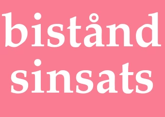 Synonym biståndsinsats