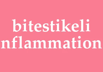 Synonym bitestikelinflammation
