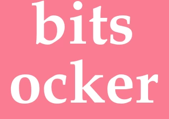 Synonym bitsocker