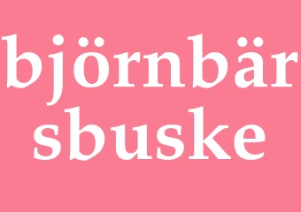 Synonym björnbärsbuske