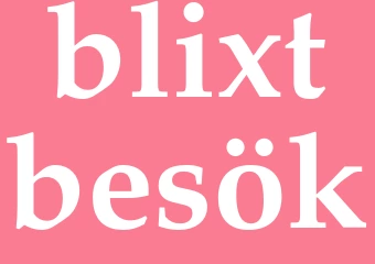 Synonym blixtbesök