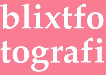 Synonym blixtfotografi