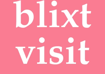 Synonym blixtvisit