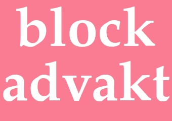 Synonym blockadvakt