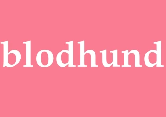 Synonym blodhund