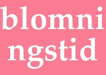 Synonym blomningstid