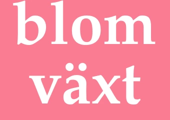 Synonym blomväxt