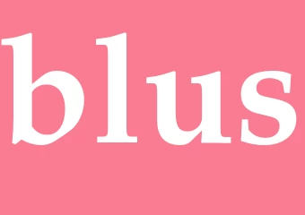 Synonym blus