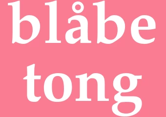 Synonym blåbetong