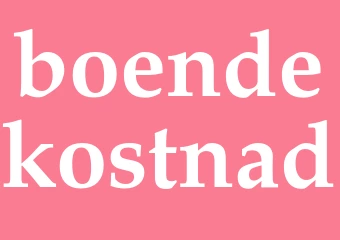 Synonym boendekostnad