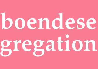 Synonym boendesegregation